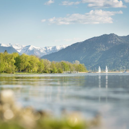 Blick auf den Tegernsee — regionale Limonade aus Bayern